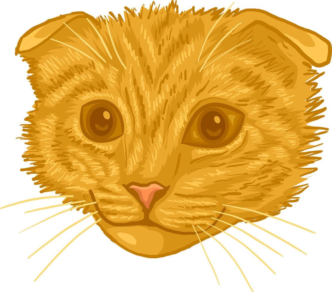 head cat mascot realist vector illustration