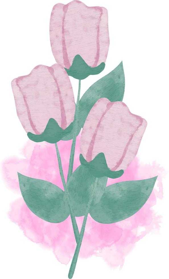 Pink Rose Flower in Watercolor vector