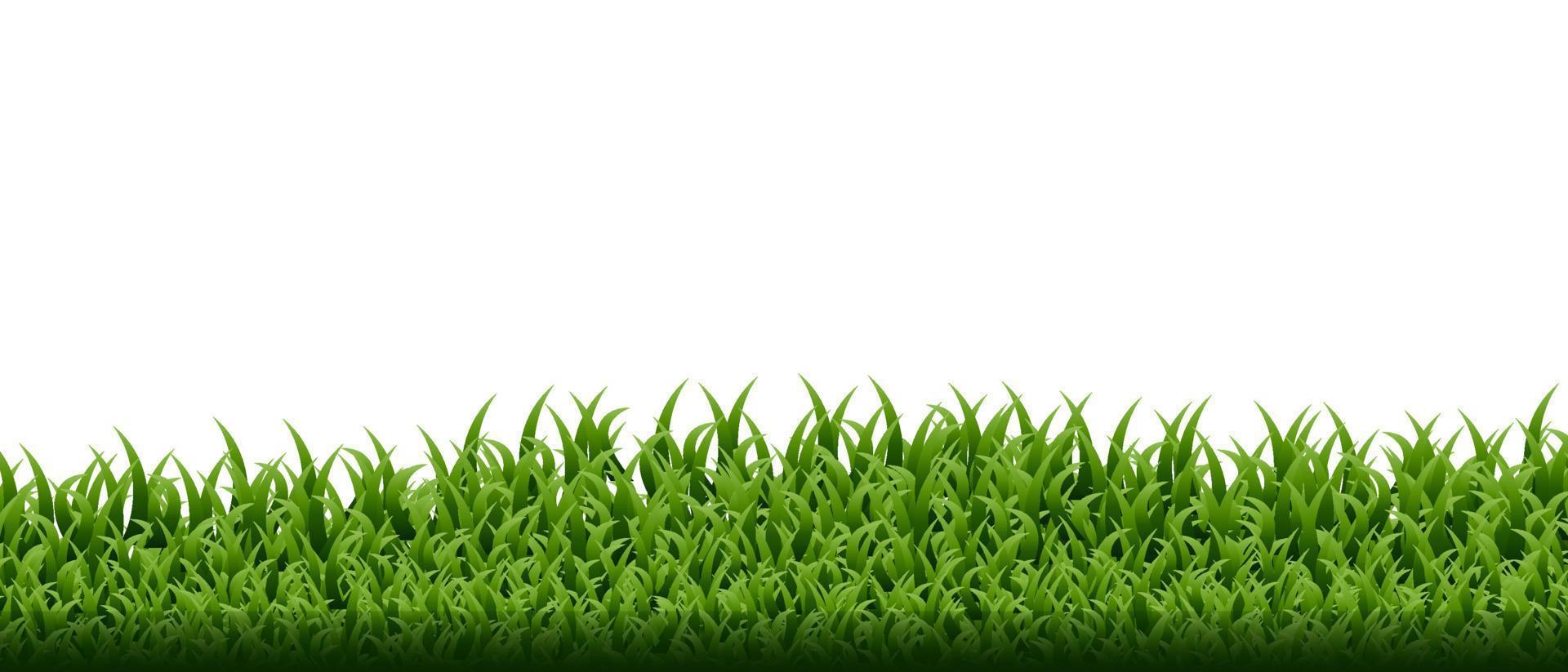 conjunto de borde de hierba verde vector