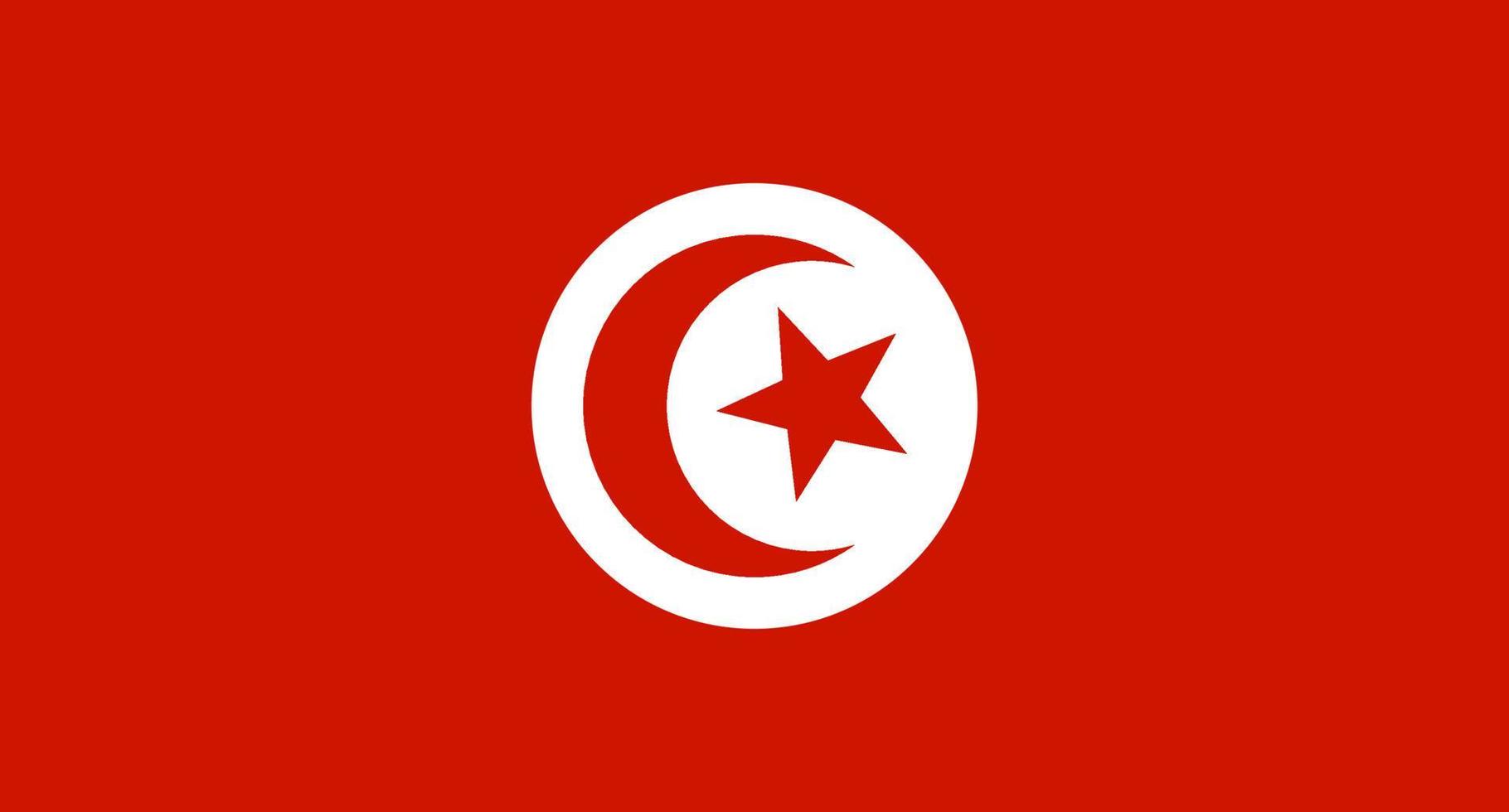 Tunis flag. Tunis flag vector