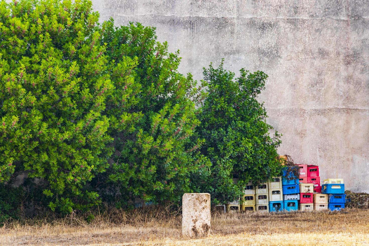 viejas cajas de cerveza apiladas fuera de mallorca españa. foto