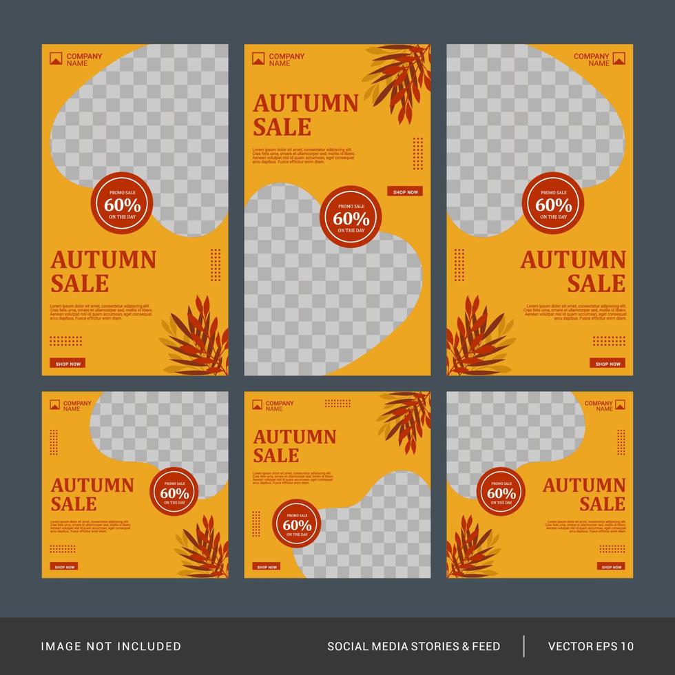 Autumn fashion social media post and stories template vector