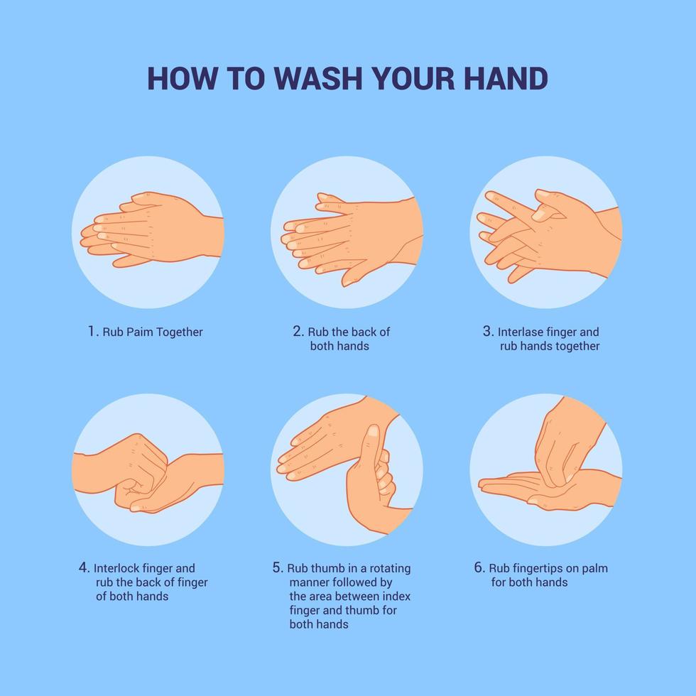 washing hand instructions with image picture step by steps direction with modern flat style vector