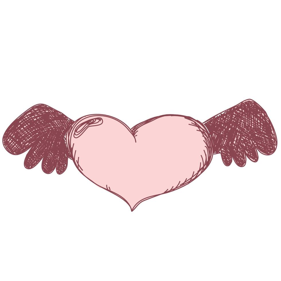 símbolo del corazón vuela en las alas boceto grabado. amor romántico símbolo de enfermedad de amor. símbolo del día de san valentín vector