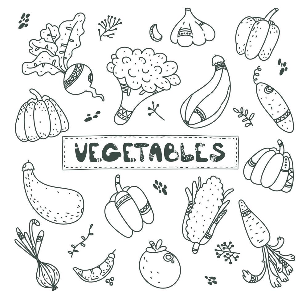 lindo garabato de línea negra sobre verduras, zanahoria, ajo, cebolla, calabaza, calabacín, remolacha, pimiento, tomate, pepino. comida vegana. cosecha vector