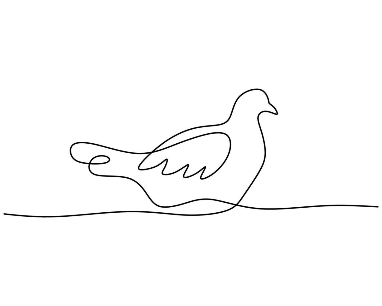 One continuous single line of golden pheasant. Famous bird line art vector