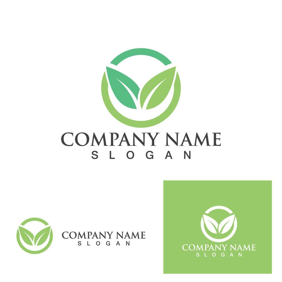 logos of green leaf ecology nature element vector