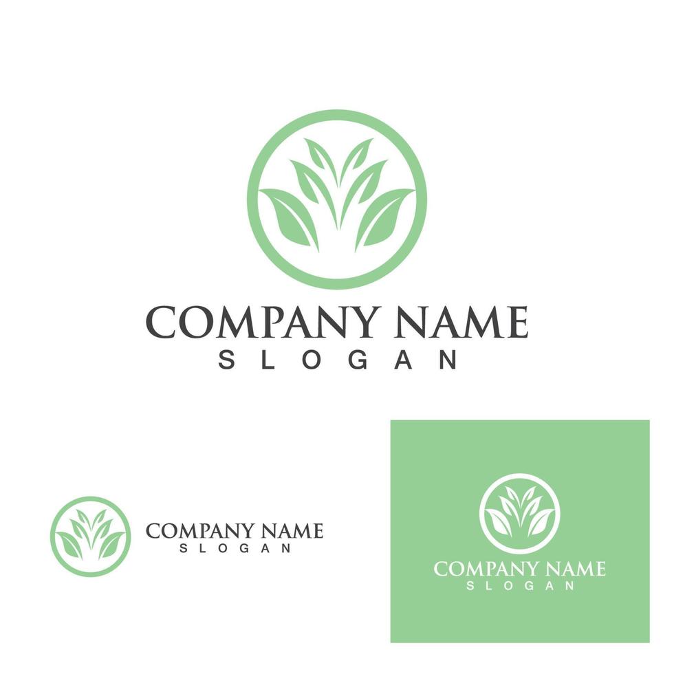 logos of green leaf ecology nature element vector