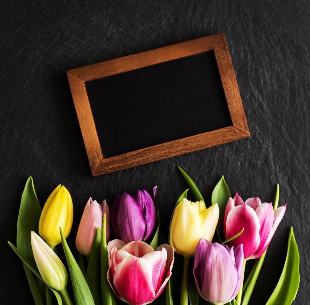 Spring tulips flowers photo