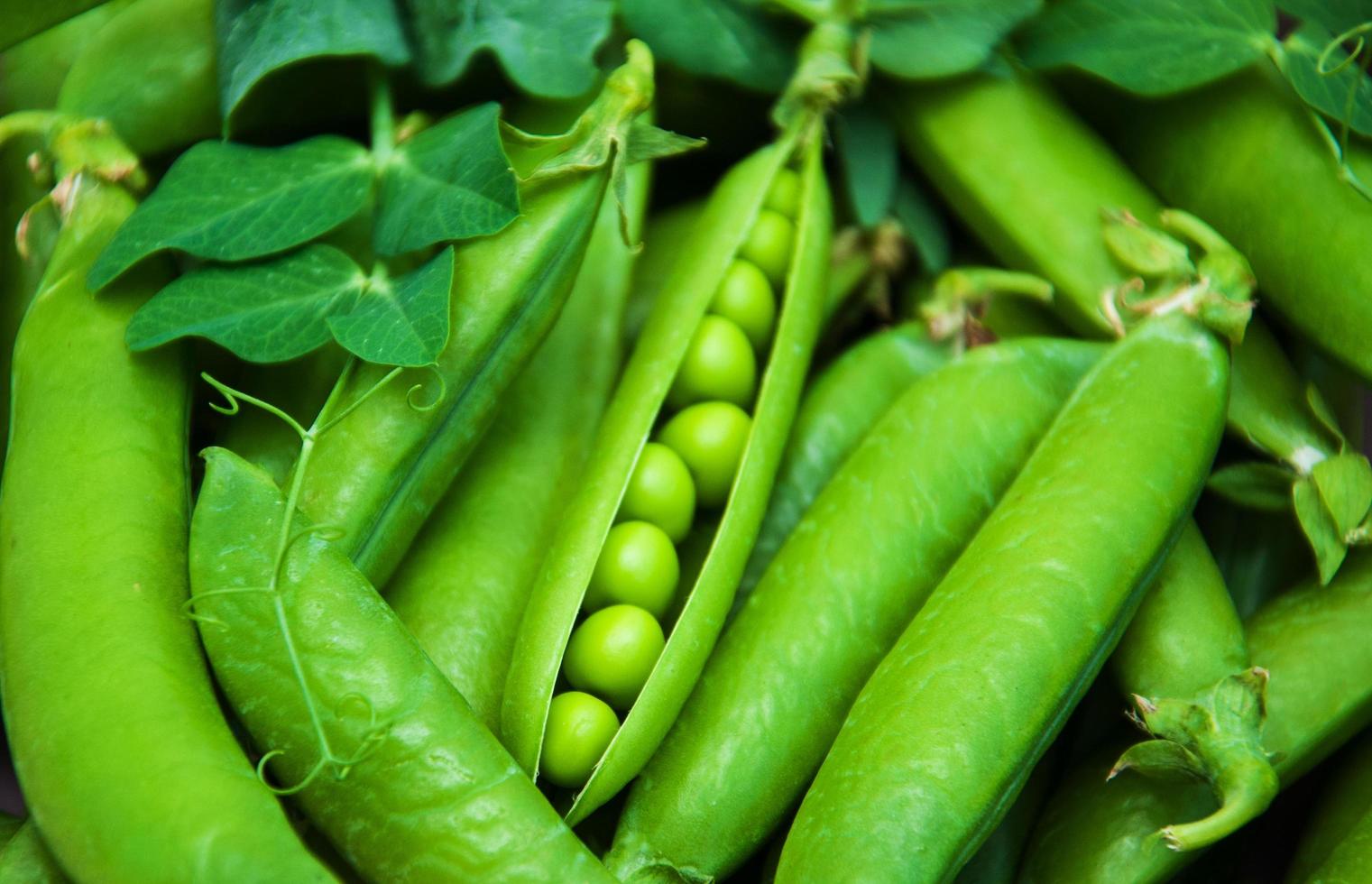 guisantes verdes - fondo foto