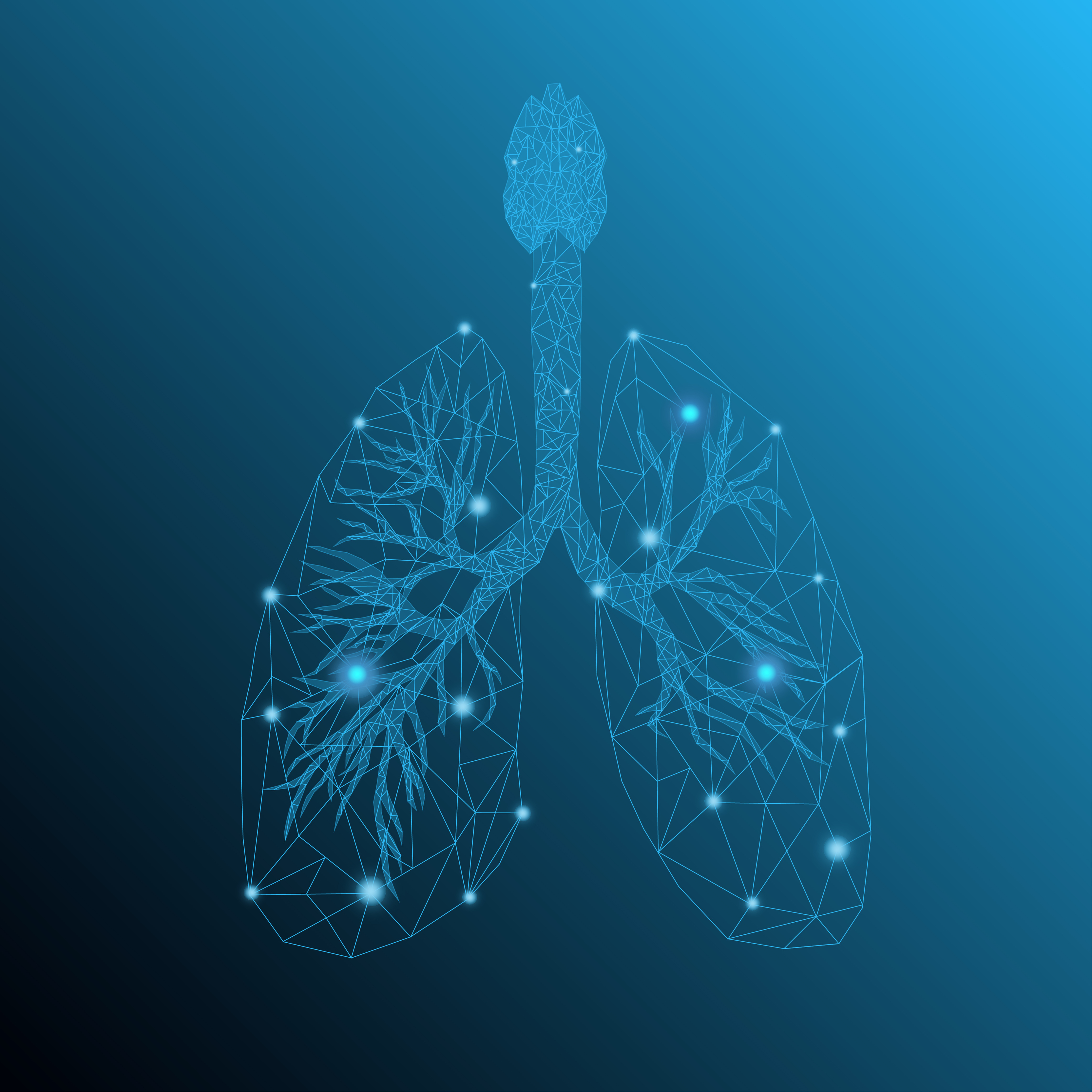 Transparent human lungs in blue color background with light low poly