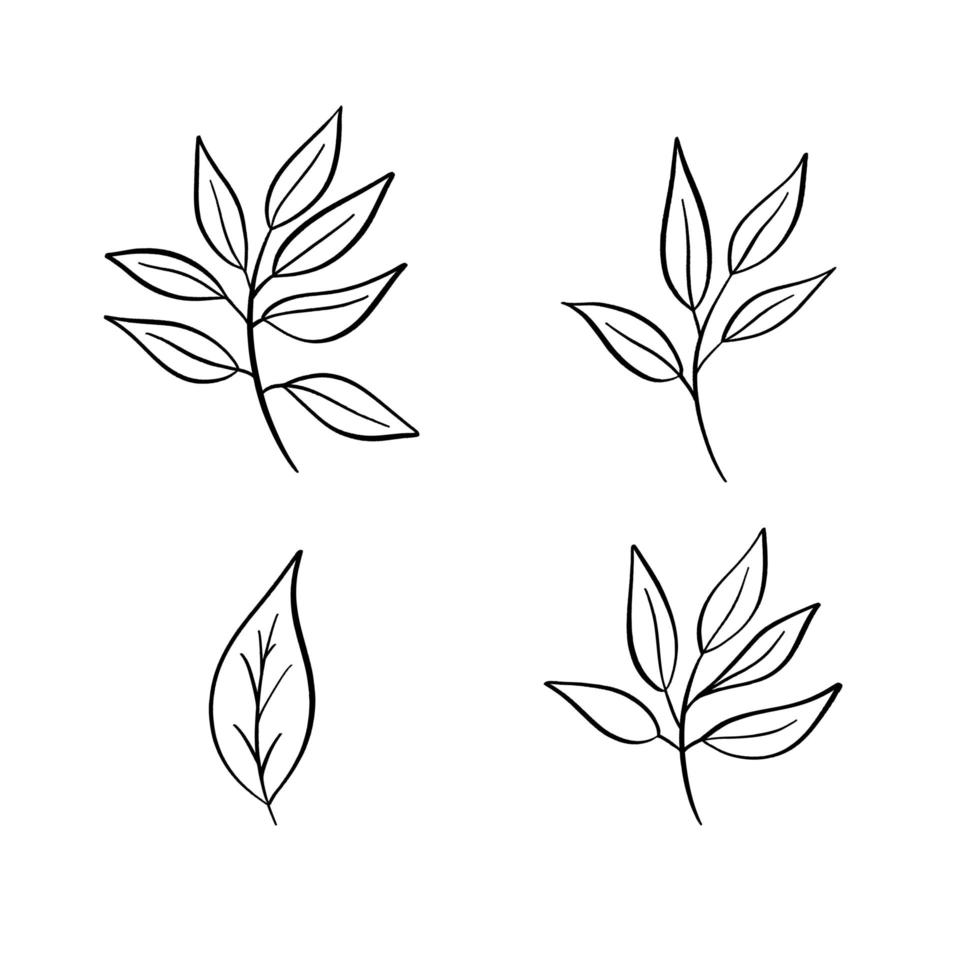 Sketch hand drawn leaves vector. vector