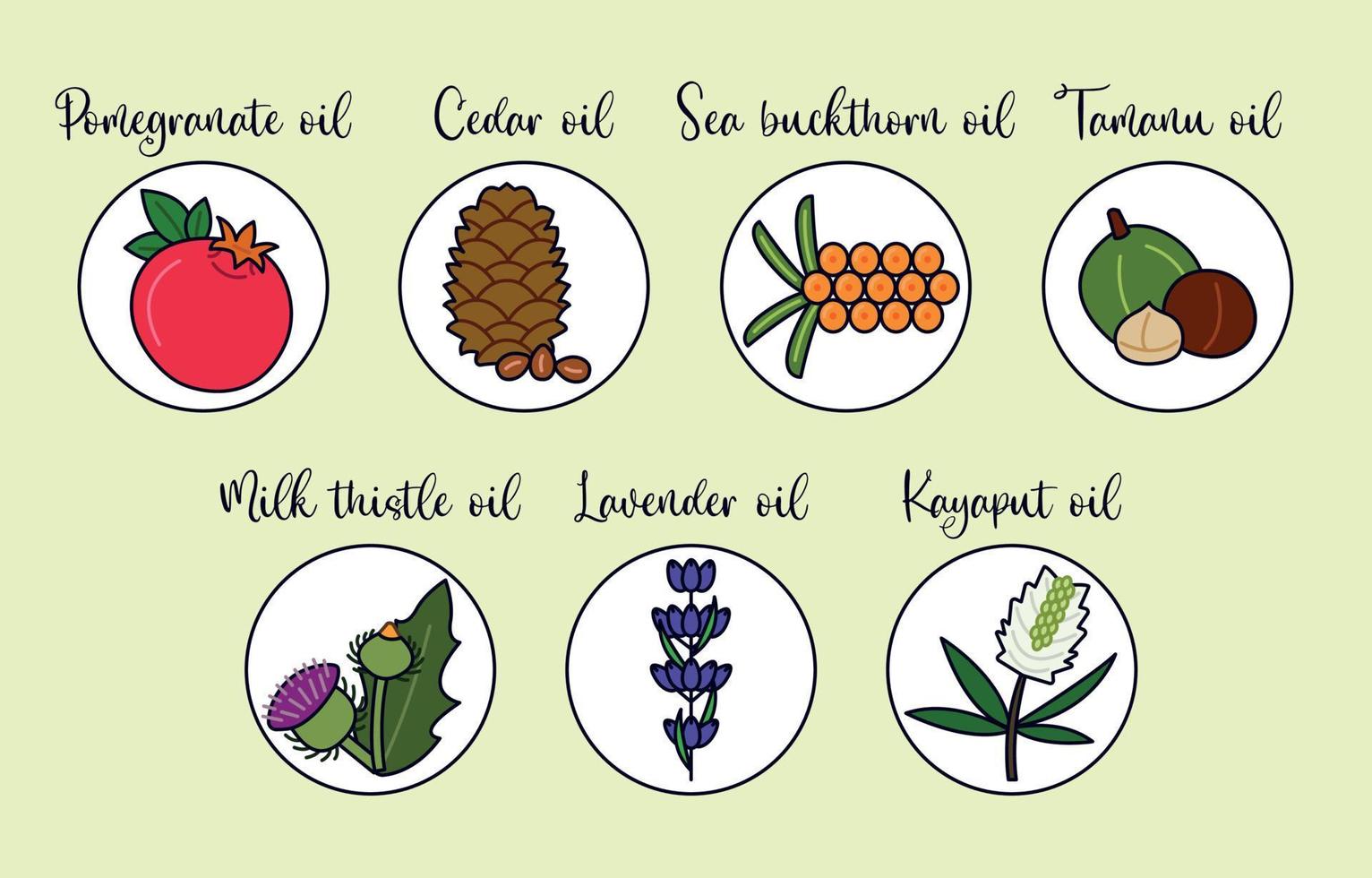 Nut, seed and flover oil line icon set. Collection of colorful ingredients for plant oil. Tamanu, kayaput, cedar, lavender, milk thistle, sea buckthorn, pomegranate. Flat vector illustration