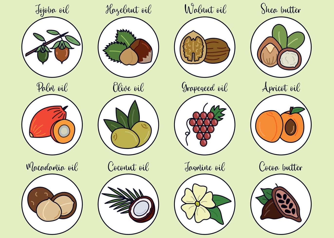 Nut, seed and flover oil line icon set. Collection of colorful ingredients for plant oil and butter. Flat vector illustration