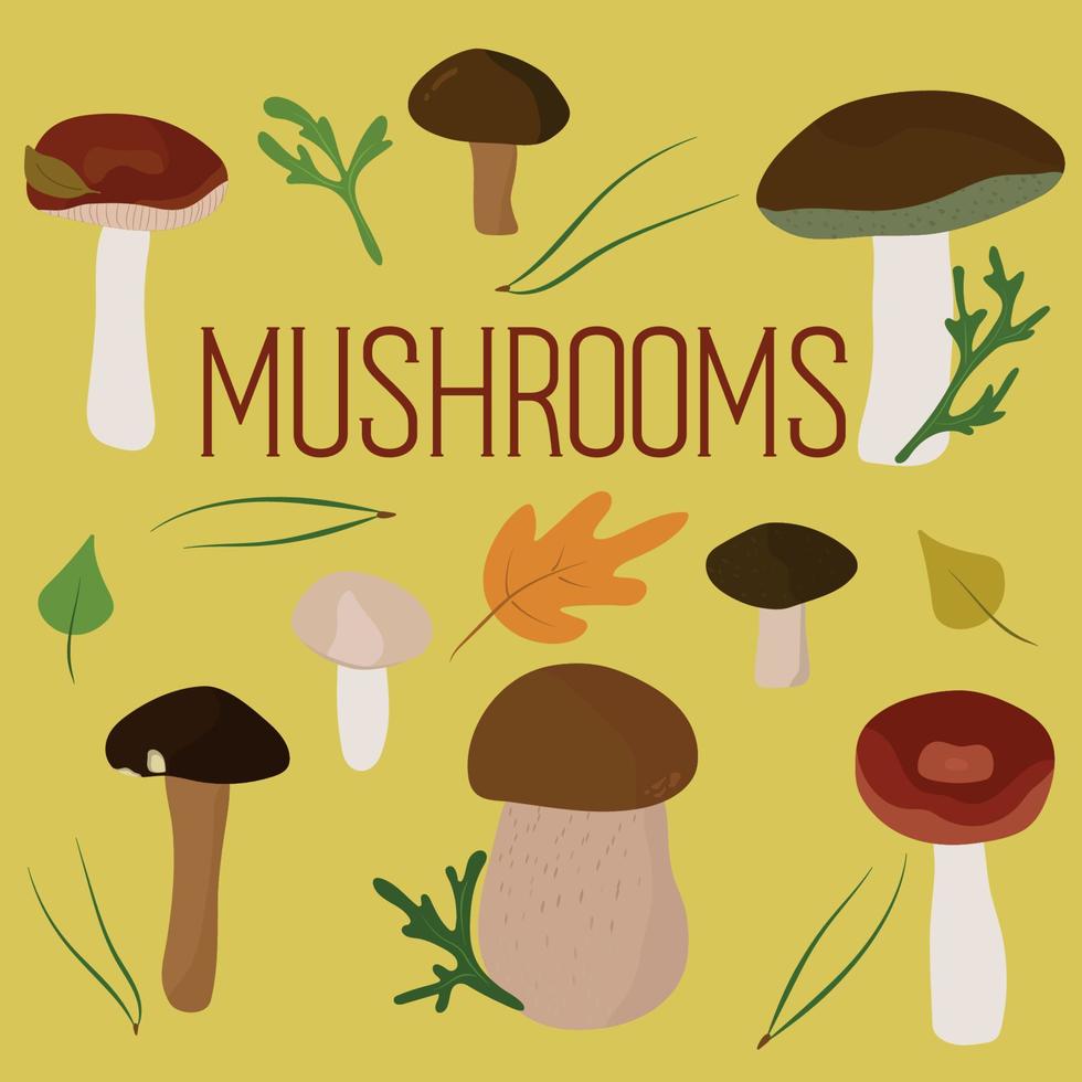 Mushroom set of vector illustrations on yellow. Russula, bay bolete, cep, penny bun, porcino, leccinellum, red-capped scaber stalk, honey fungus. Leaves, pine needles, moss. Cartoon style