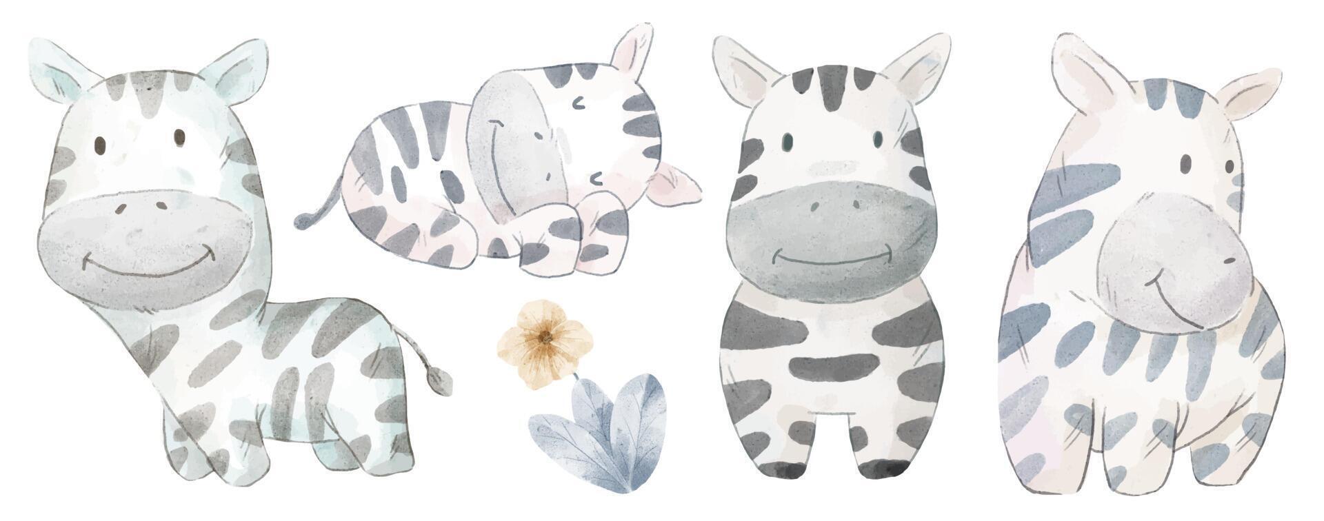 Vector illustration watercolor Set of adorable Zebra For Your Design.