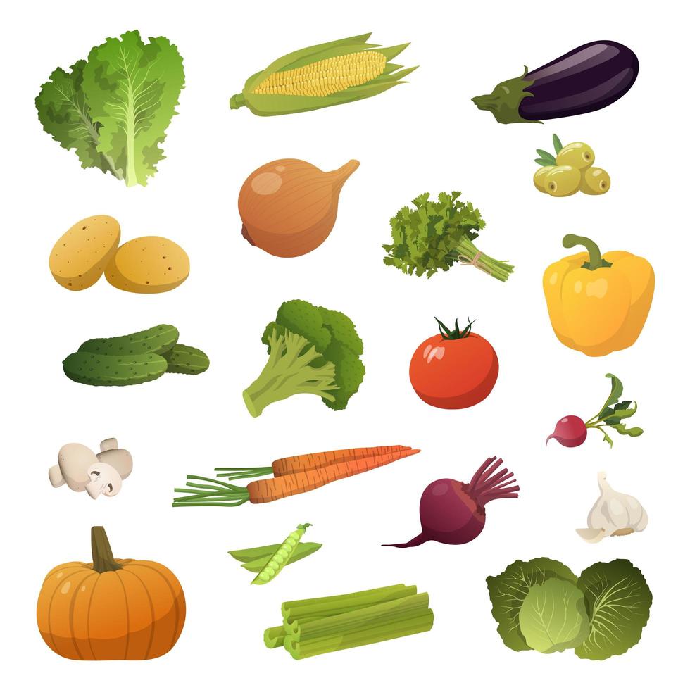 conjunto de 20 piezas de diferentes verduras sobre un fondo blanco - vector