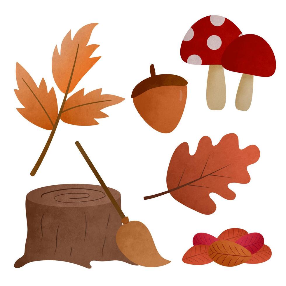 Autumn collection of decorative season elements on white background vector