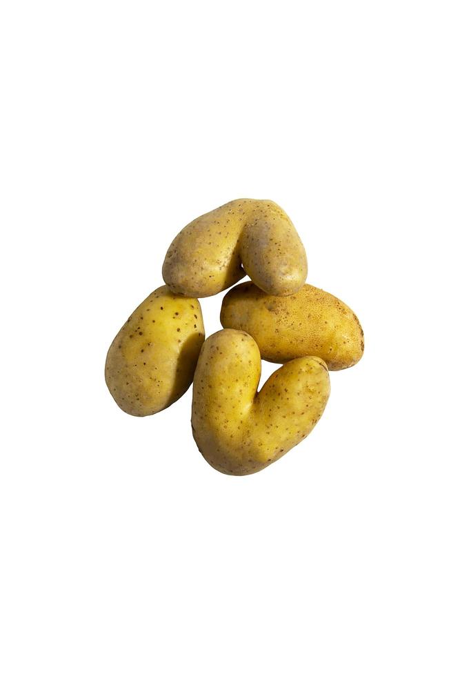 Group of raw potatoes on a white background. Two heart-shaped potatoes. Isolate. Life style. photo