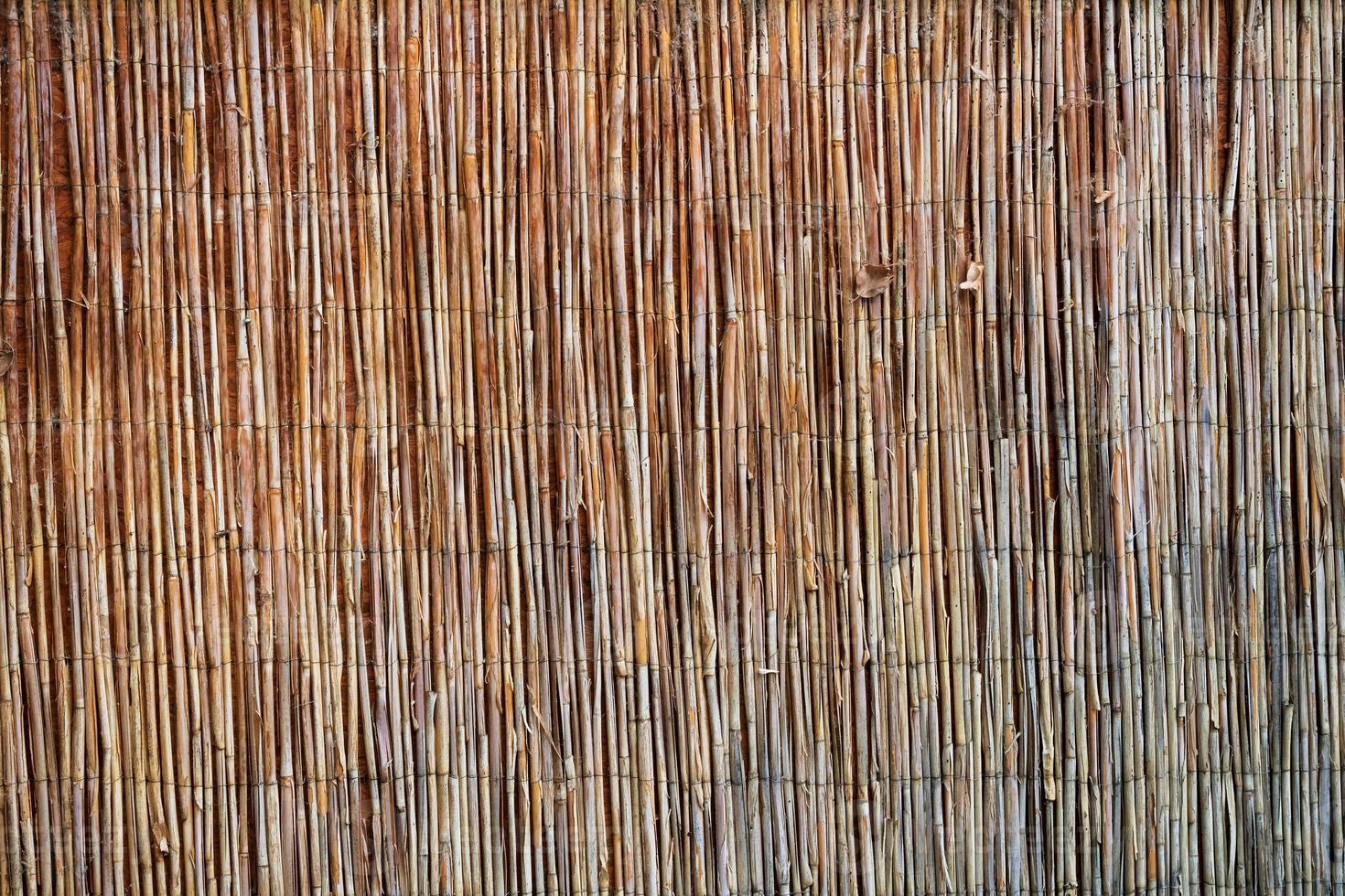 textura abstracta de madera. telón de fondo de superficie grunge. patrón de efecto de madera sucia. fondo material. foto