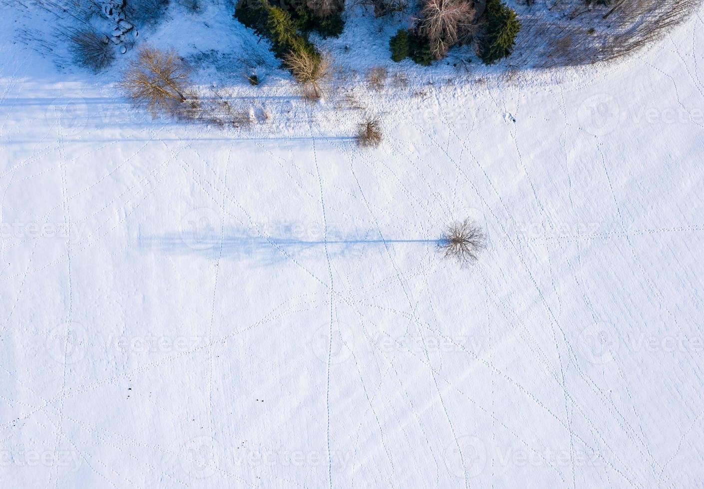 Beautiful aerial view of the huge frozen lake in the middle of a forest in Latvia. Frozen Ungurs lake in Latvia. photo