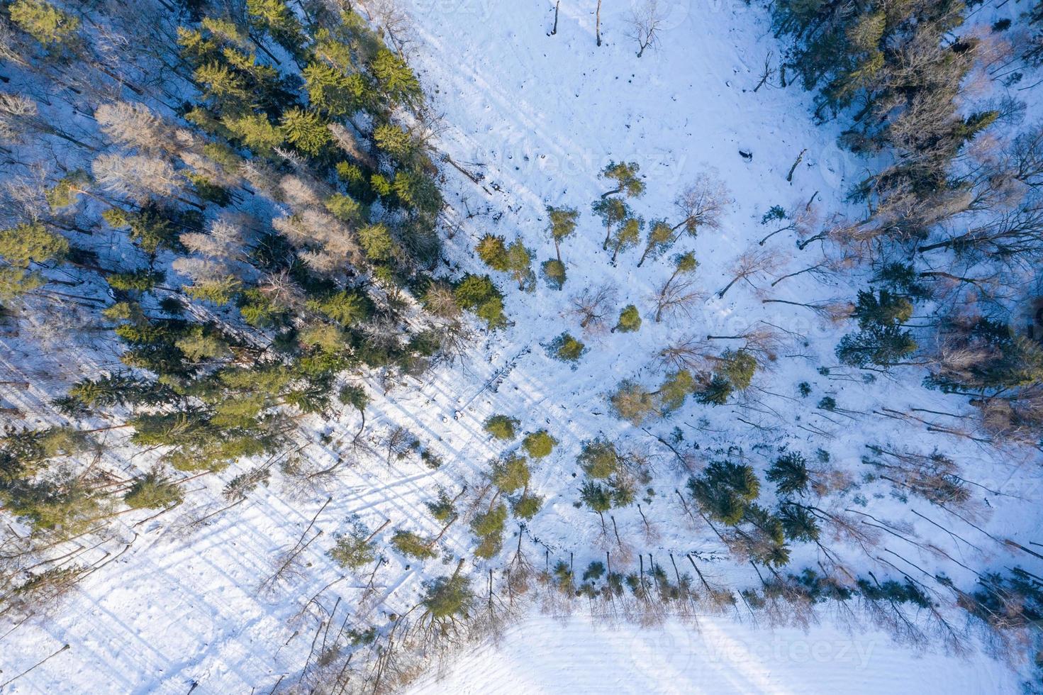 Fabulous aerial winter panorama of mountain forest with snow covered fir trees. Colorful outdoor scene, Happy New Year celebration concept. Beauty of nature concept background. photo