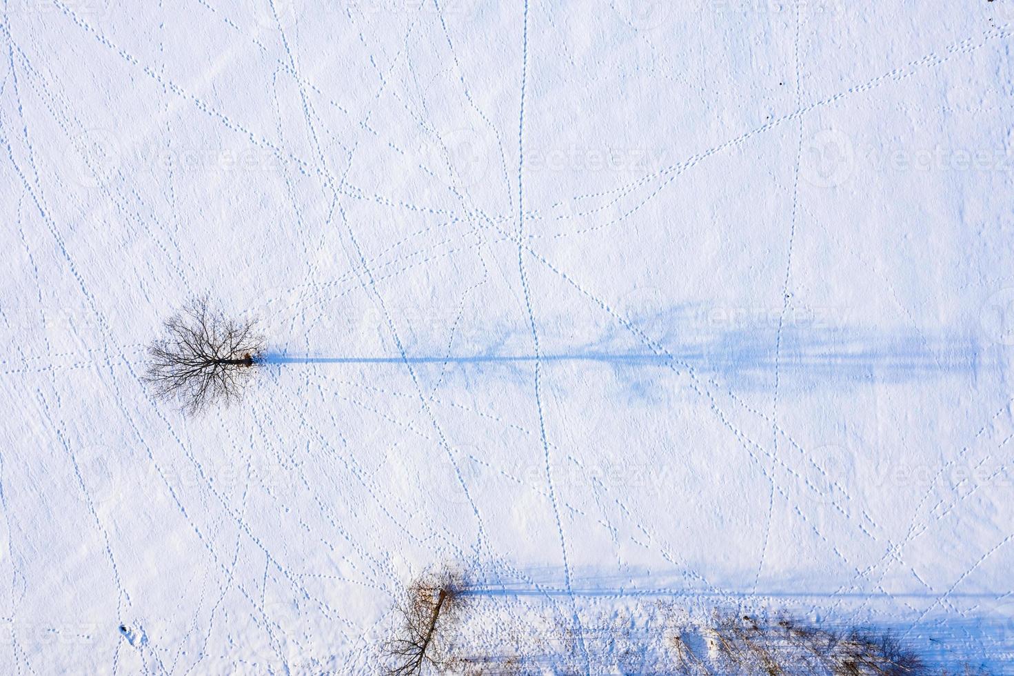 hermosa vista aérea del enorme lago congelado en medio de un bosque en letonia. lago ungurs congelado en letonia. foto