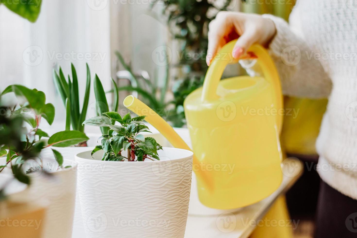 la mujer está regando las plantas de la casa foto