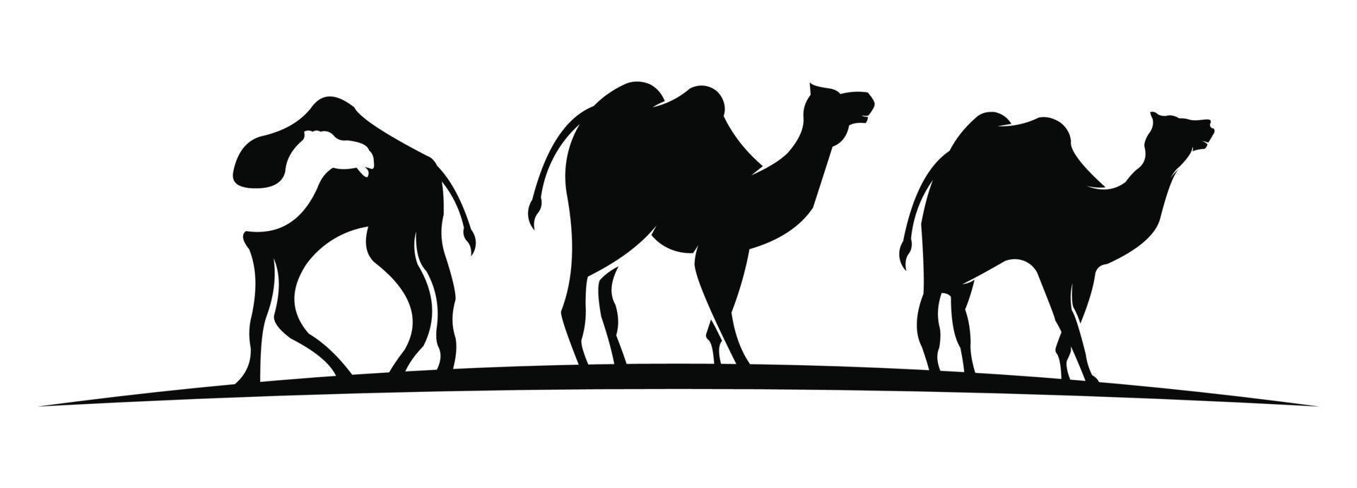 Silhouette of camel and young small camel,Vector camel vector