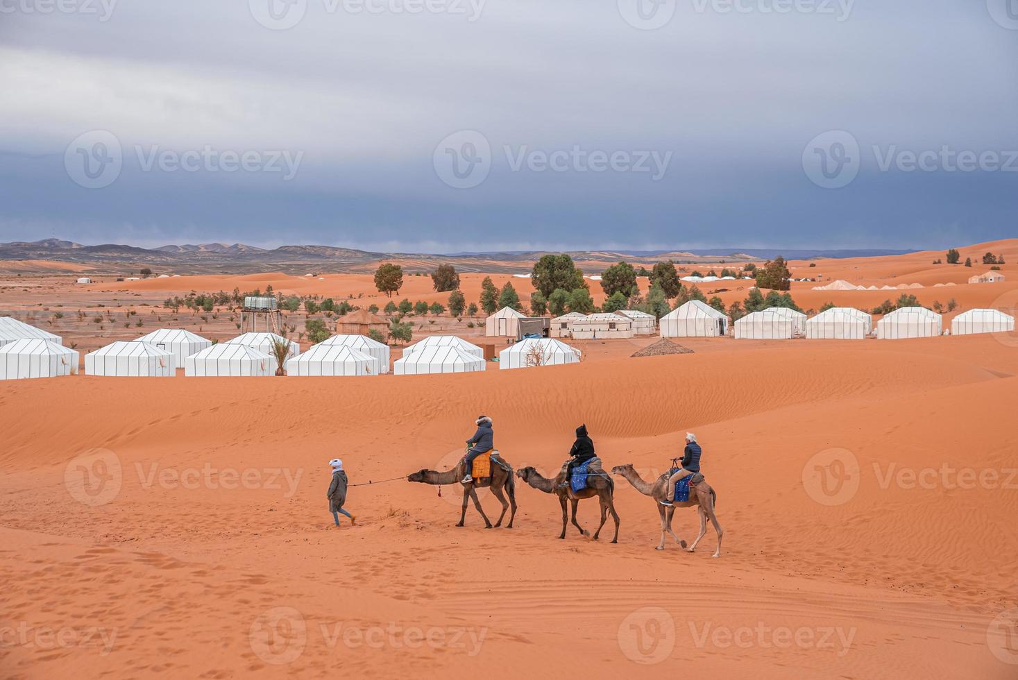 Bedouin leads caravan of camels with tourists through the sand in desert photo