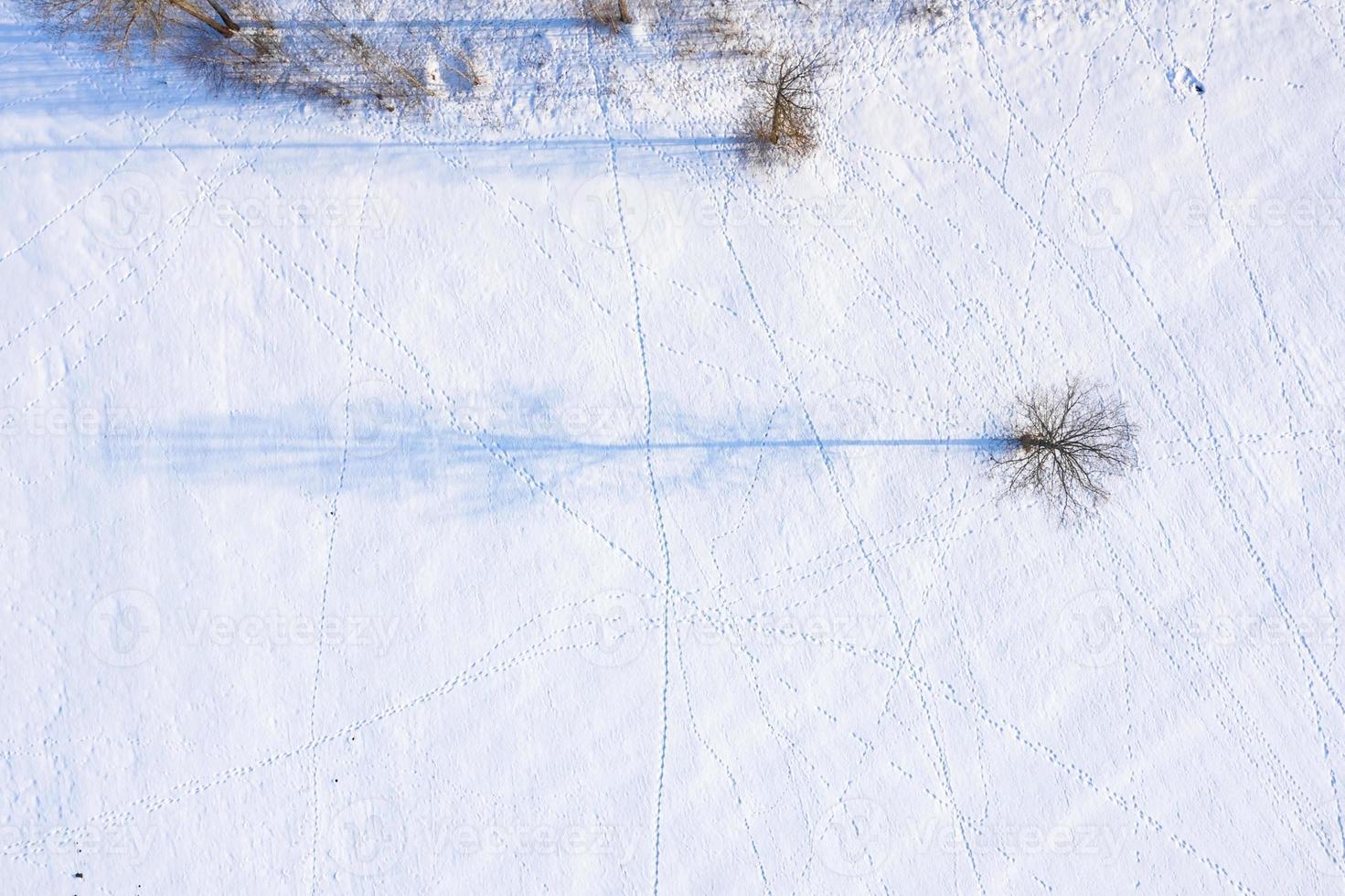 Beautiful aerial view of the huge frozen lake in the middle of a forest in Latvia. Frozen Ungurs lake in Latvia. photo