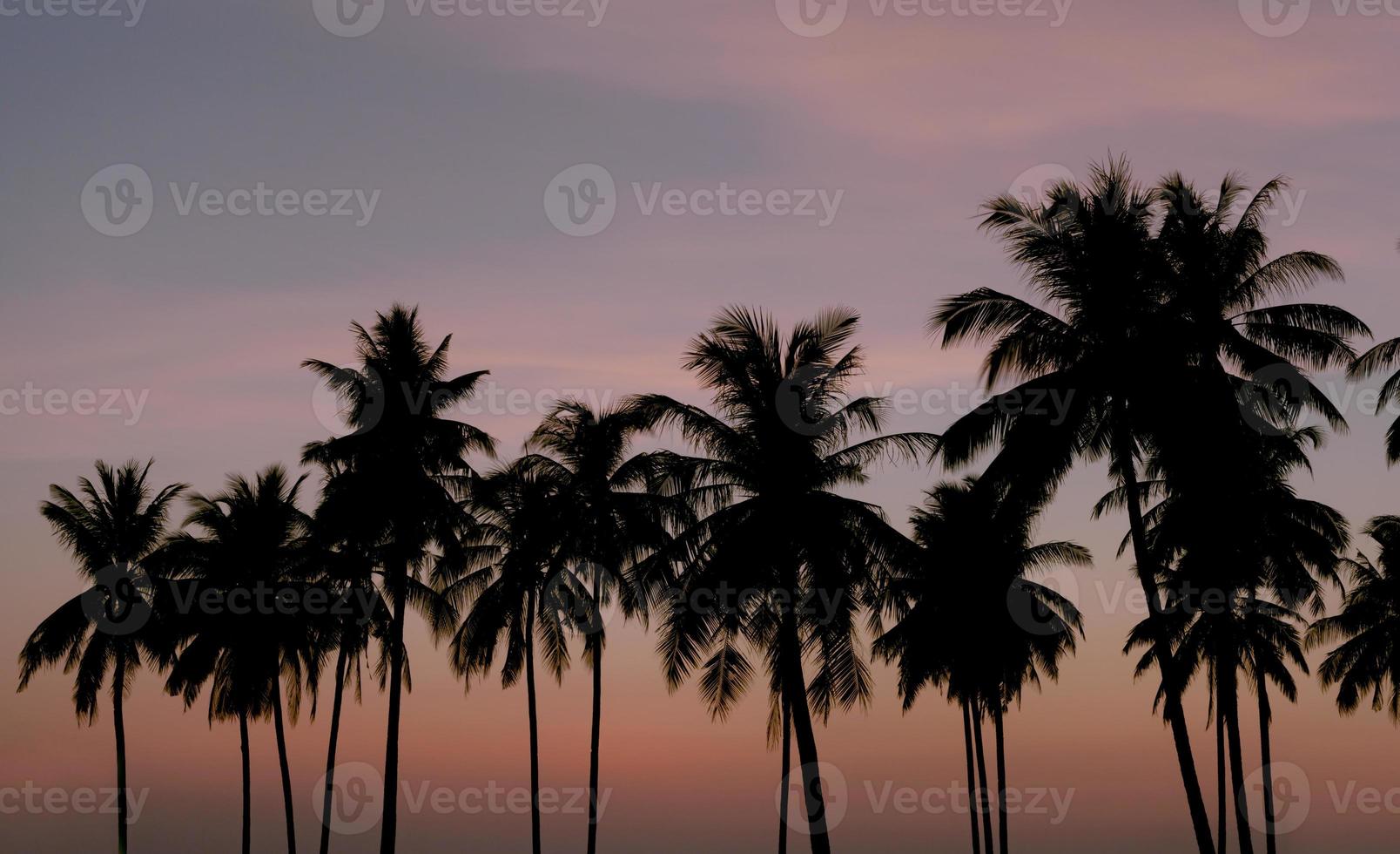 la puesta de sol de la silueta de las palmeras en la isla de langkawi. foto