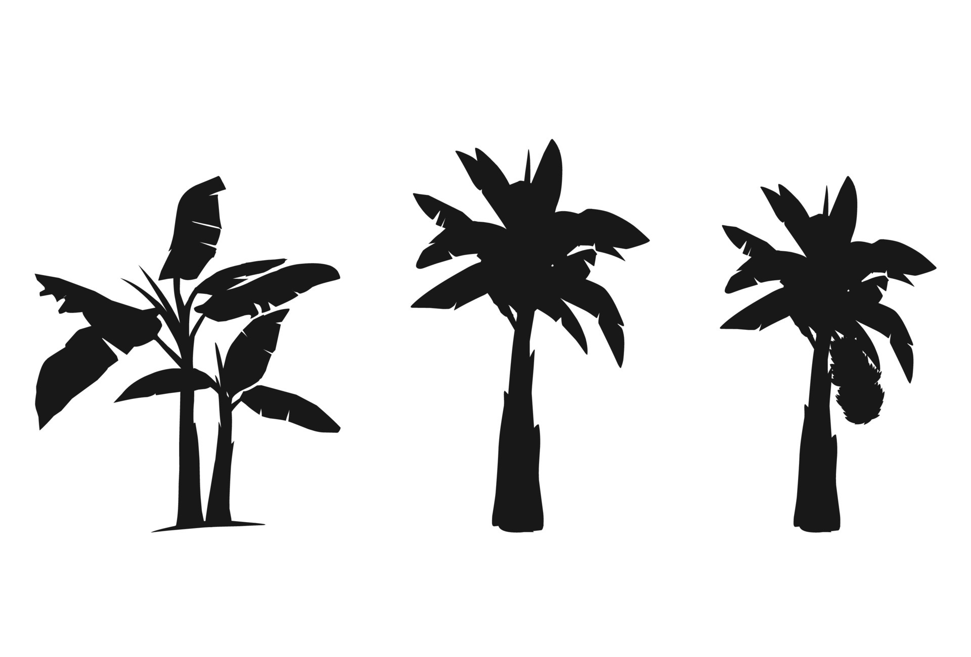 Banana tree silhouette for your design 5090920 Vector Art at Vecteezy