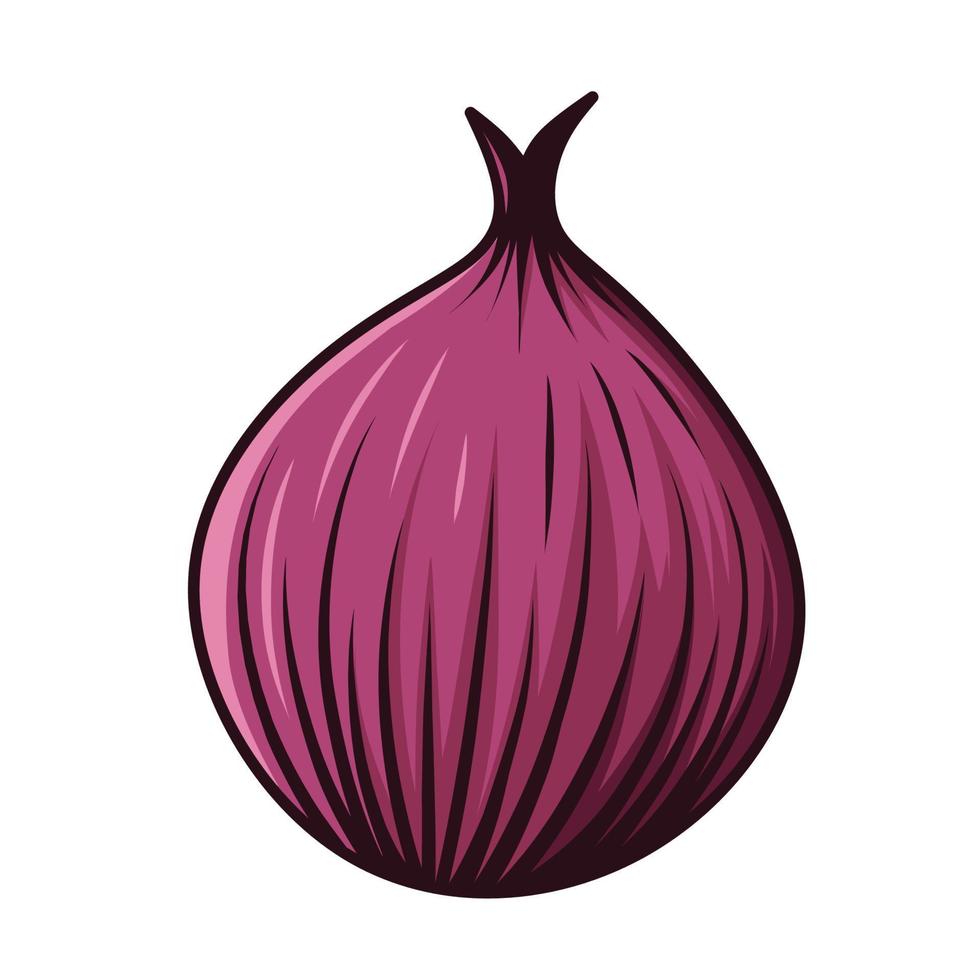 purple onion vector