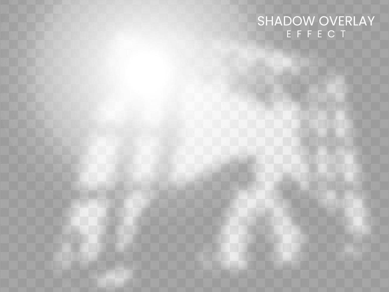 overlay shadow effects with cat shadow. Shadow and light from the window. Reflection of light on the wall. Transparent shades for your design. vector