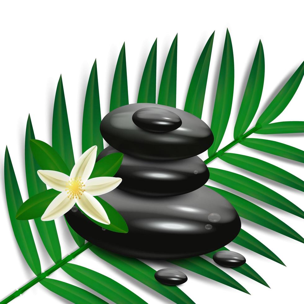 vector piedras realistas sobre un fondo blanco. guijarros con flores de plumeria. plantilla para salón de spa, cosméticos, publicidad de masajes, diseño de decoración. 5092967 Vector en Vecteezy vector piedras realistas sobre un fondo blanco. guijarros con flores de plumeria. plantilla para salón de spa, cosméticos, publicidad de masajes, diseño de decoración. 5092967 Vector en Vecteezy