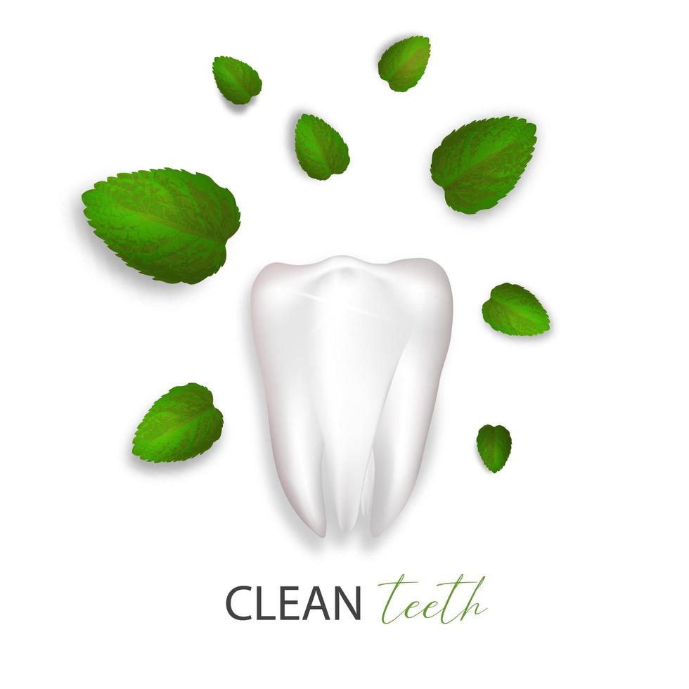 Cuidado dental diente y concepto de vector de icono de hoja de menta.