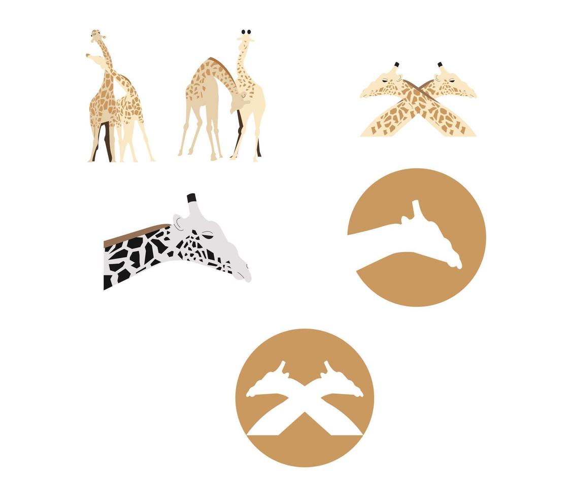 giraffes fighting isolated on white vector