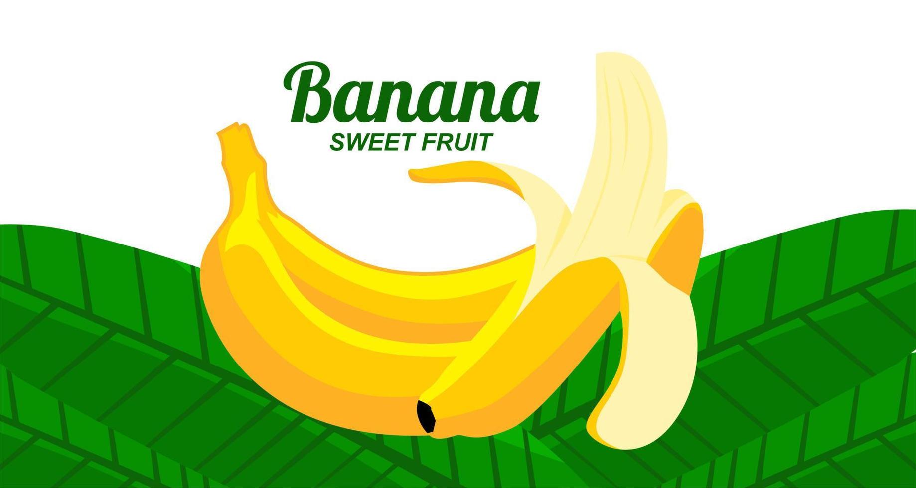 Banana themed design template vector