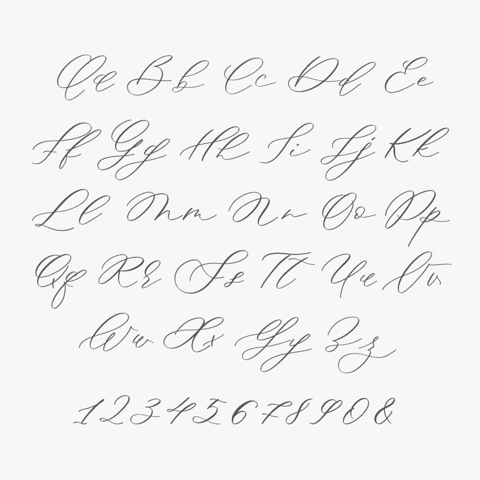 alfabeto de caligrafía moderna. monograma de boda, logotipo, invitación. vector