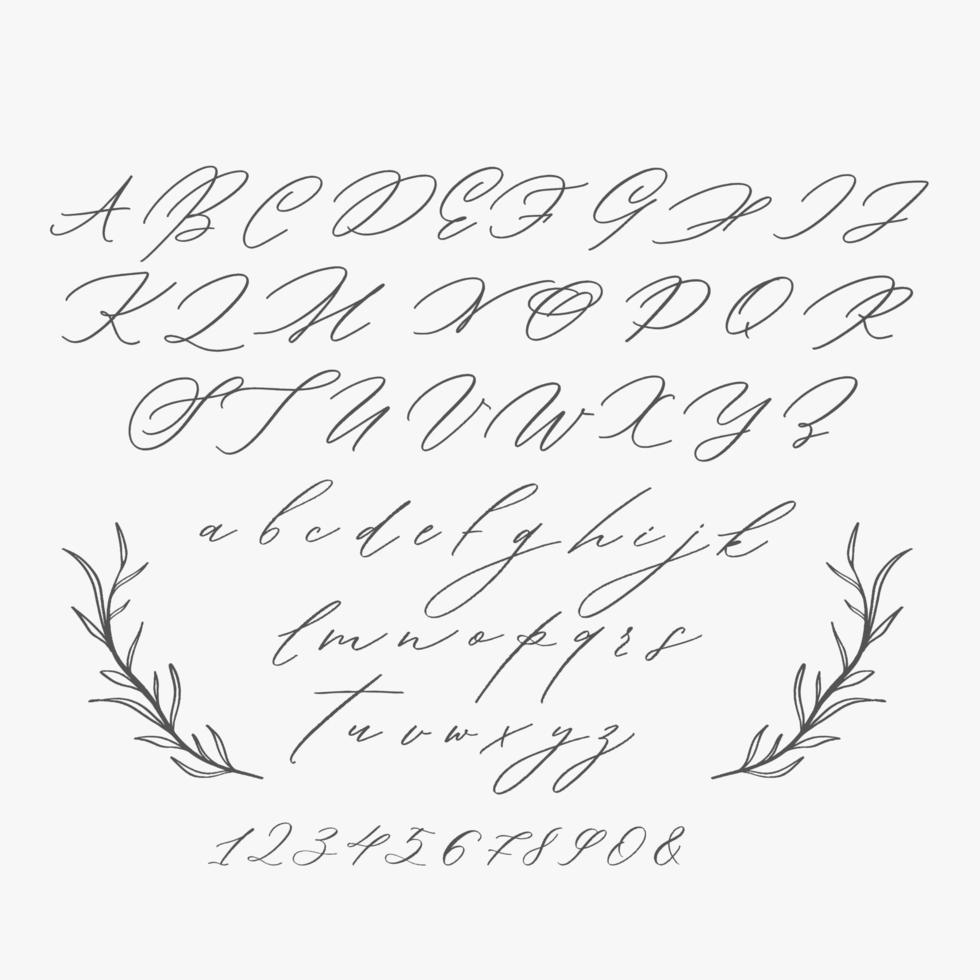 Modern calligraphy Alphabet.Wedding Monogram, Logo, Invitation. vector