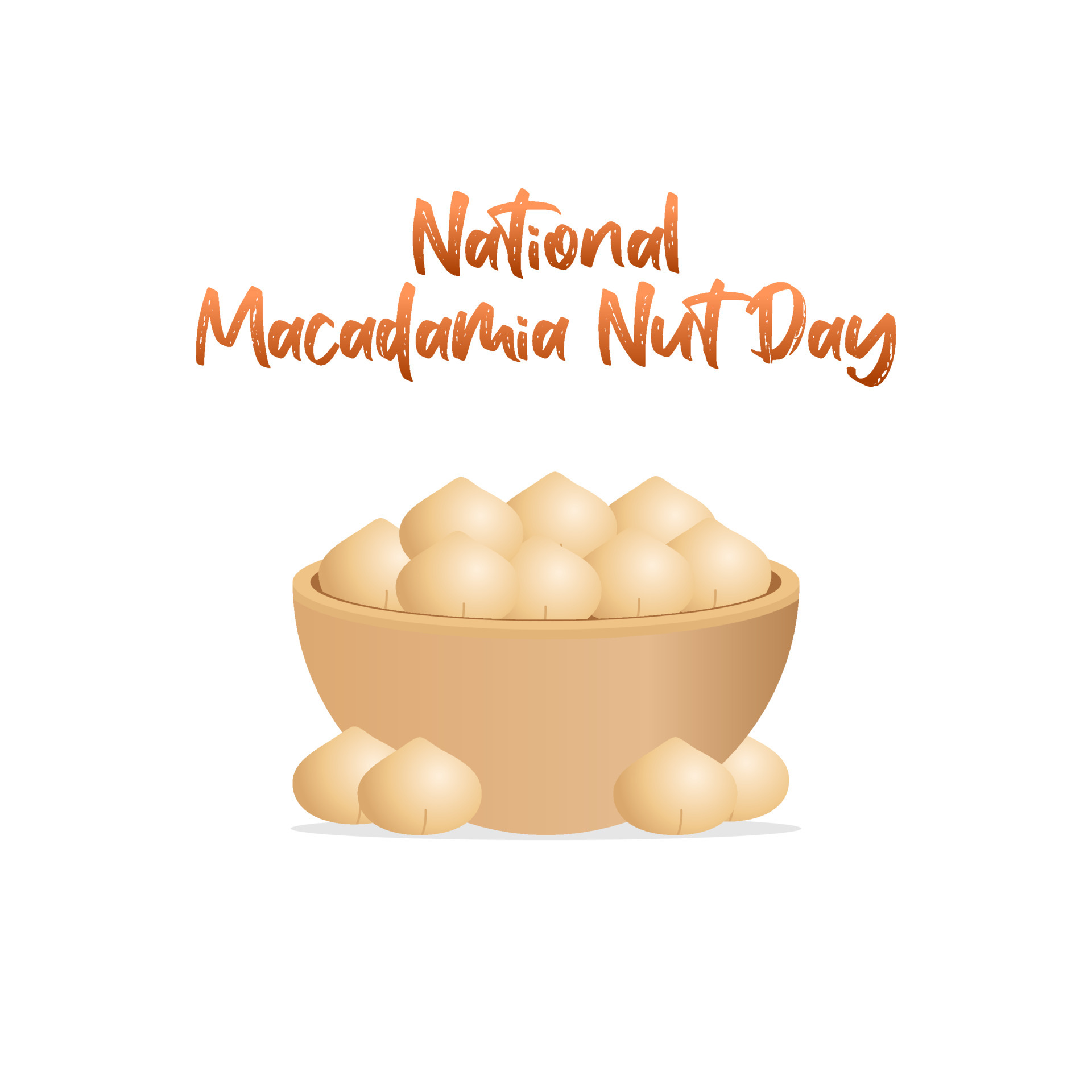 vector graphic of national macadamia nut day good for national