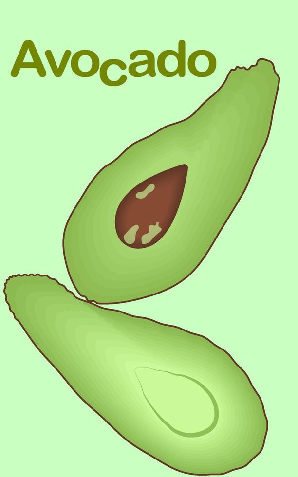 Green avocado - healthy fruit. Vector illustration