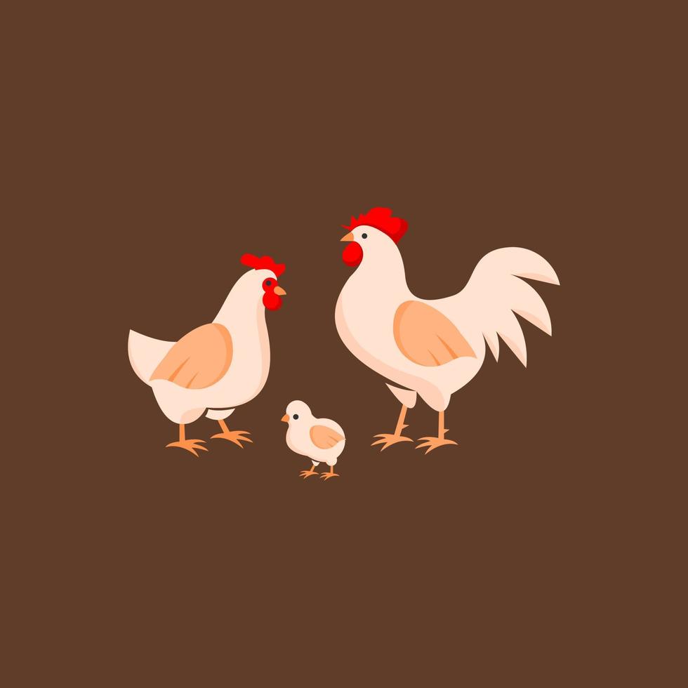 pollo ilustración plana aves de corral y granja vector