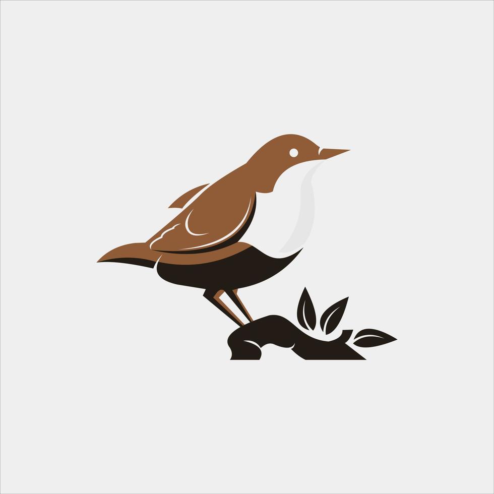 Dipper Bird Animal Illustration vector