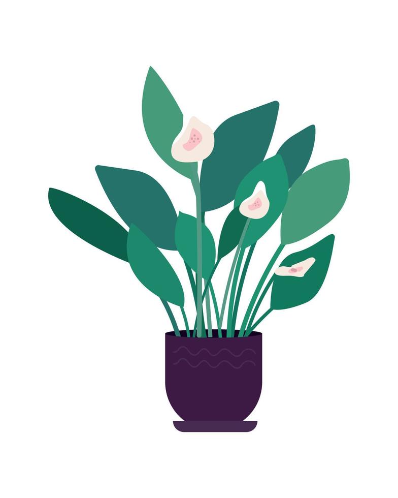 Large indoor flower semi flat color vector object