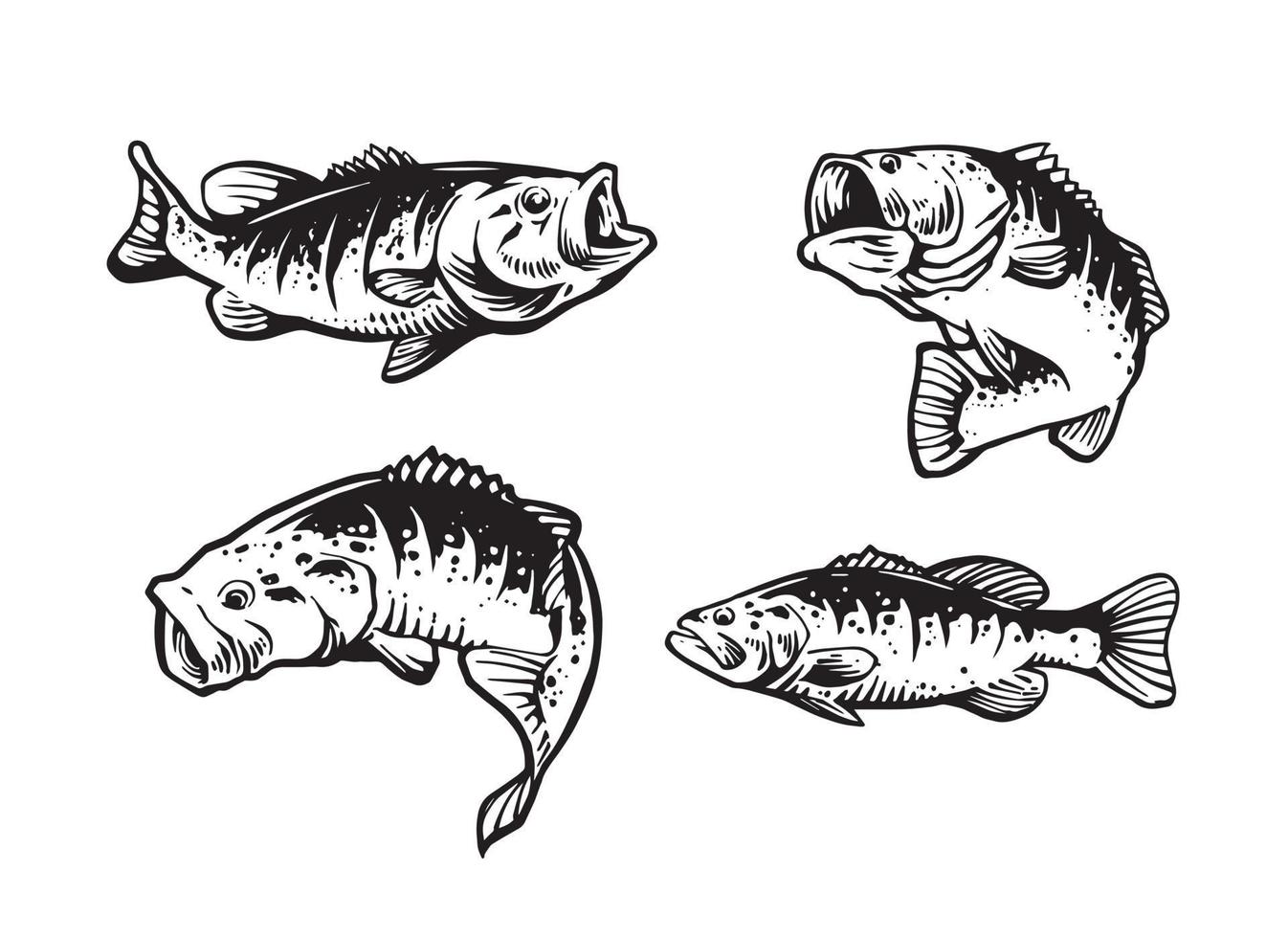 largemouth fish set illustration vector