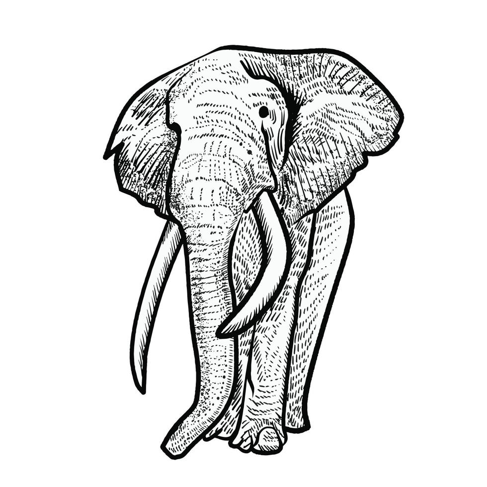 ilustración de estilo de dibujo de elefante vector