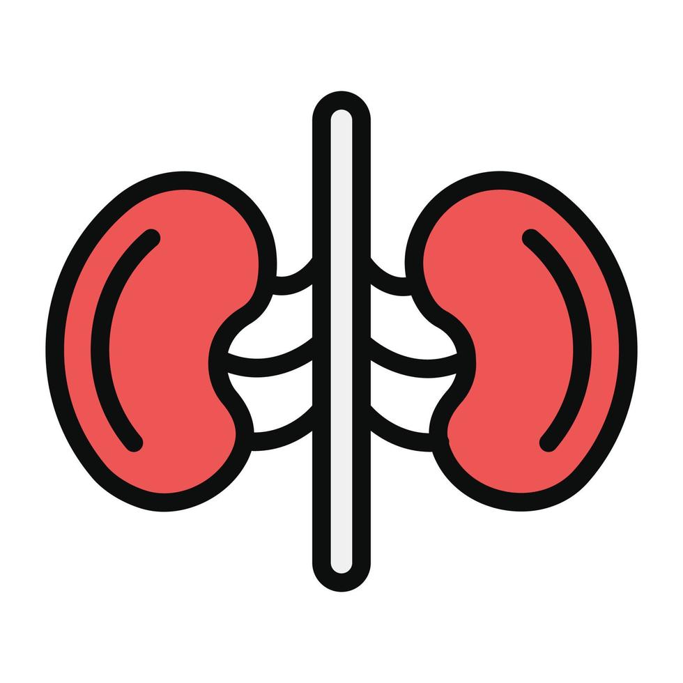 Human renal system organ icon in flat design, kidneys icon vector