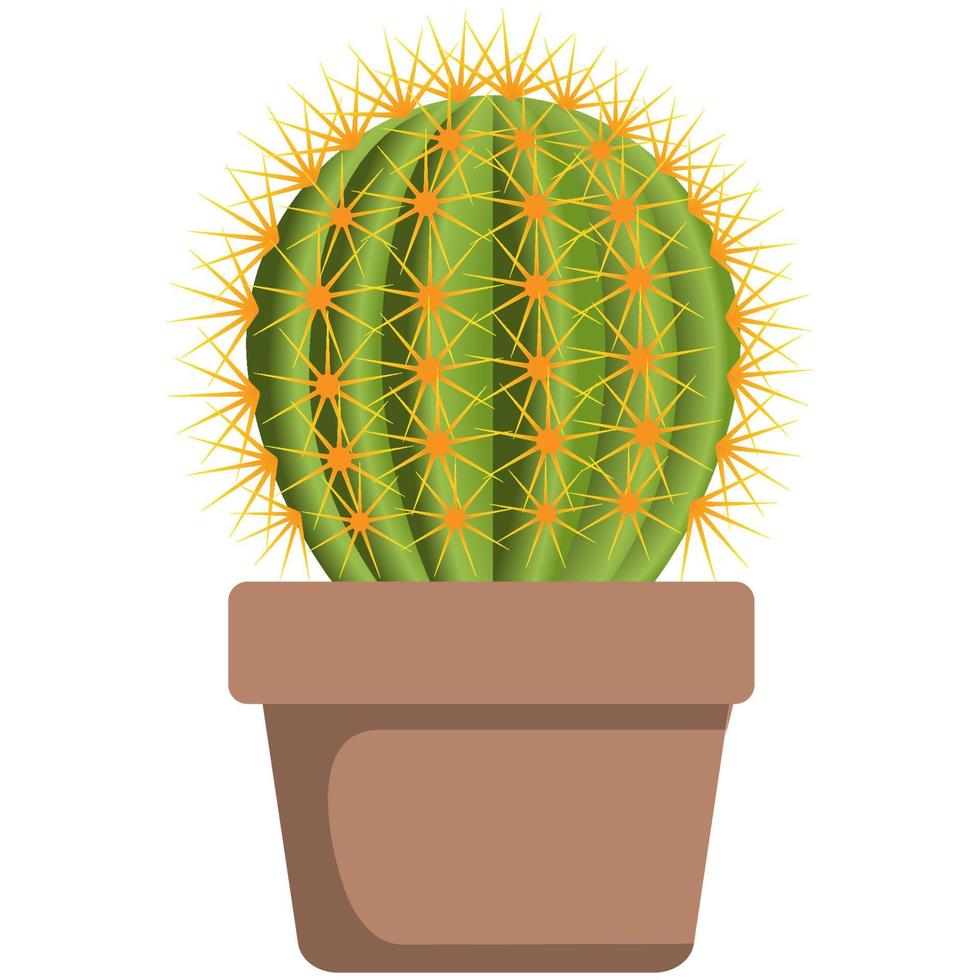 Potted cactus house plant. vector